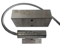 Magnetic reed sensor DMG-40 F (0Ex ia IIC T6 Ga X / RO Ex ia I Ma X)