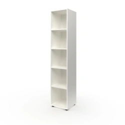 Narrow open cupboard for teaching aids