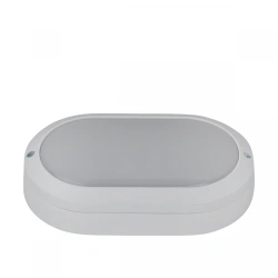 LED Luminaire Housing and Communal Services Standard-15 (BIEA.676279.007)
