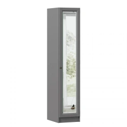 Amelie LD.642870.000 Single-leaf wardrobe with mirror (Onyx Grey)
