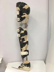 Orthopaedic devices for the whole foot
