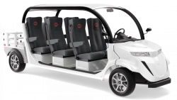 Electric car "Elekar 5E-TIGARBO" 6G