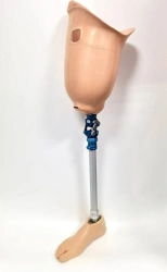 8-07-10 Modular hip prosthesis, including for congenital underdevelopment PH6-72