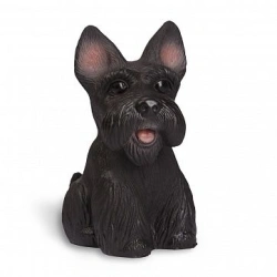 Dog Chapa