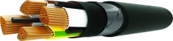 Power cable for voltage 0,66; 1kV of VBShvng(A) grade