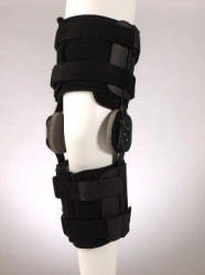 ANK-KS knee joint apparatus