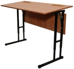 Single-seat pupil's desk