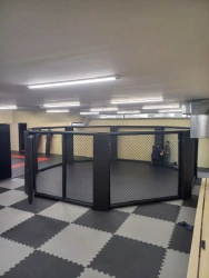 Floor Octagon (cage for MMA)