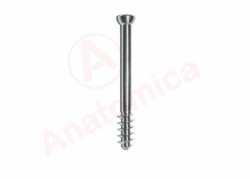 Spongy screw, 16 mm long thread