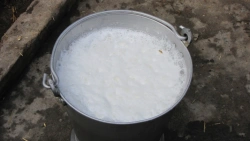 Pasteurised drinking milk