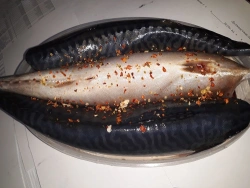 Salted mackerel carcass without head