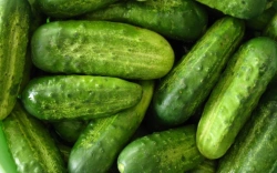 Fresh Cucumbers - High-Quality, Crisp and Refreshing