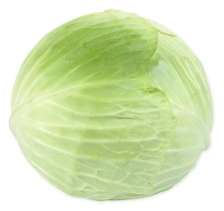 ملفوف أبيض طازج