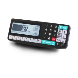 Weighing terminal RA