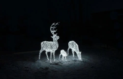 Illumination frame illumination "Deer family" - decorative street lamp, installed as an independent stationary lamp
