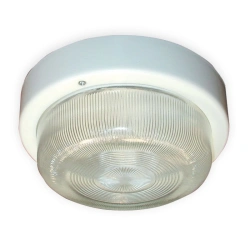 1005500180 "Selena 3" NPP 03-60-003 IP65 body white GU Luminaire