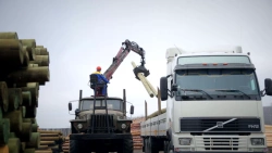 Wooden Support Elements for Overhead Power Lines, 0.4-35 kV, 6.5 m, CCA Treated