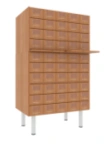 Catalogue cabinet, 3-module, 50 drawers (5x10), on supports h238mm