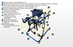 Walkers for children with disabilities, multifunctional, brand "I walk".