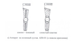 Knee joint apparatus AN4-01
