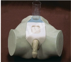Mannequin for bladder puncture (male), art. no. NS6046 / 29E