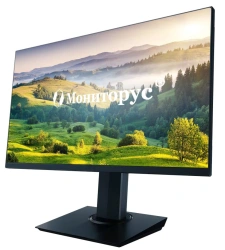 Computer Monitors