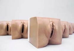 Modules for birth canal examination, 9A