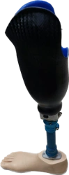 Tibial prosthesis for bathing