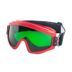 Closed safety goggles ZN11 SUPER PANORAMA, item no. 21128