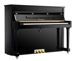 String Keyboard Instruments