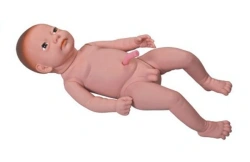 Newborn model with umbilical cord Y3