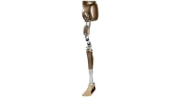 Modular hip replacement with microprocessor control, PN8-OB-E