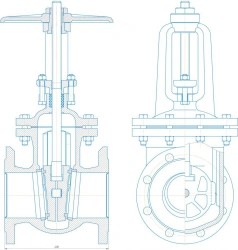 Cast iron wedge gate valve DN 100
