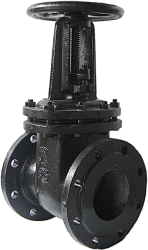 Cast iron parallel gate valve 30h6bk