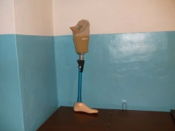 Hip prosthesis for bathing PH6-72K