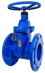 Cast iron gate valve with rubberised wedge 30ch39r SLG13
