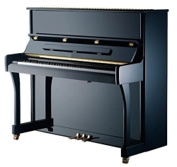 Piano "Nikolai Rubinstein"