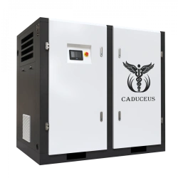 Air compressor station CADUCEUS AIRCAD 3-200 S, 200 kW, 14.6-32.3 m3/min, 0.8-1.3 MPa