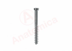 Sponge screw, thread length 32 mm