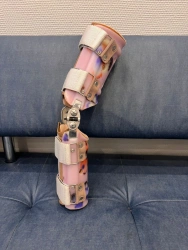 Knee joint apparatus