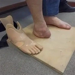 Foot prosthesis