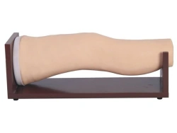 Model for knee joint injection, item L72S