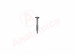 Malleolar screw