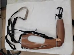 Working shoulder prosthesis PR4-R.1