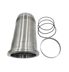 Cylinder sleeve RDG 4089435