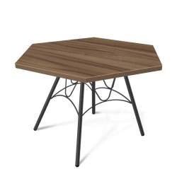 Coffee table Sheffilton SHT-S100/LDPE 70