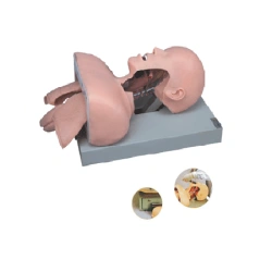 Tracheal intubation model, Art. 50