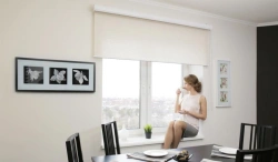 Roller blinds GRANDE BOX 170x210cm