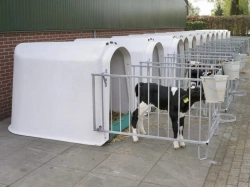 Glass fibre reinforced plastic calf house with metal fence
