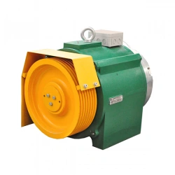 Gearless lift winches of LBR 500/6, 2 series